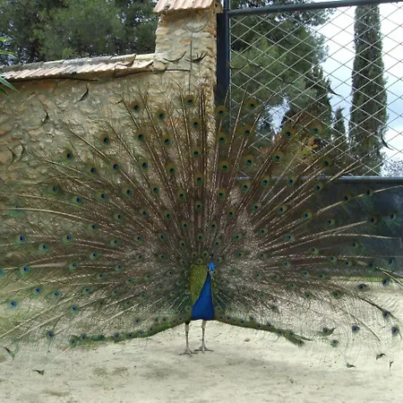 Casa de Campo Cortijo Ferradores *