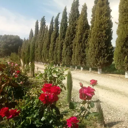 Cortijo Ferradores Casa de Campo