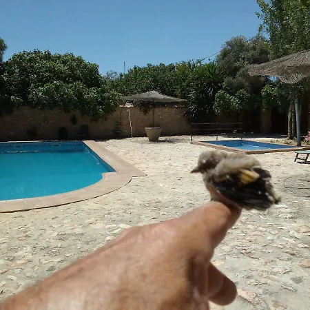 Cortijo Ferradores *
